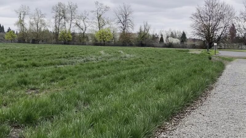 Linfield’s Wellness Trail - McMinnville, OR