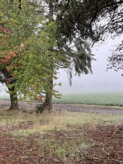 Linfield’s Wellness Trail - McMinnville, OR