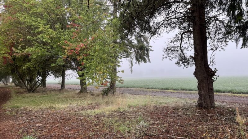 Linfield’s Wellness Trail - McMinnville, OR