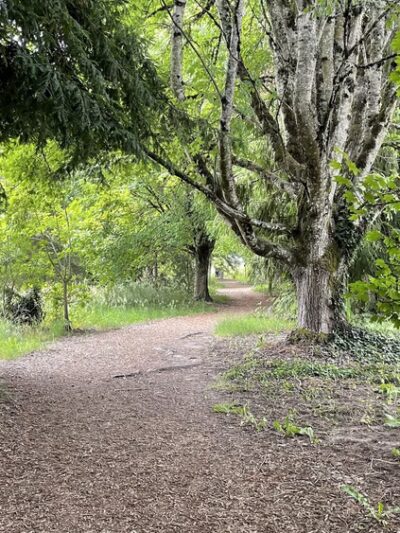 Linfield’s Wellness Trail - McMinnville, OR