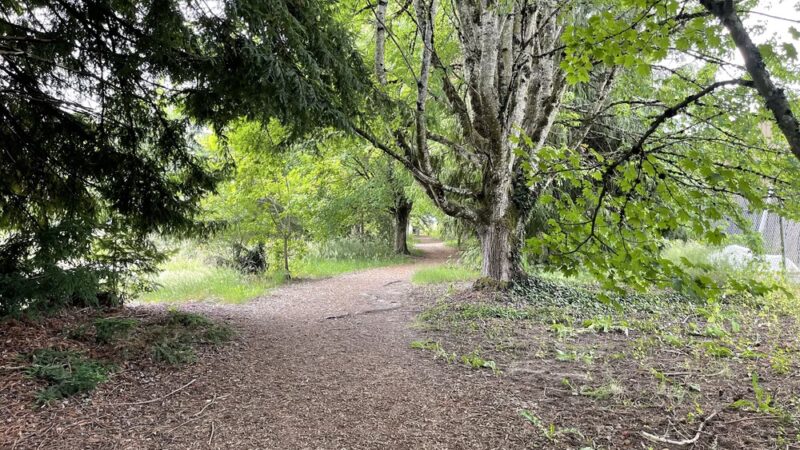 Linfield’s Wellness Trail - McMinnville, OR