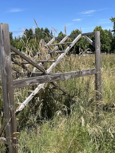 Linfield’s Wellness Trail - McMinnville, OR