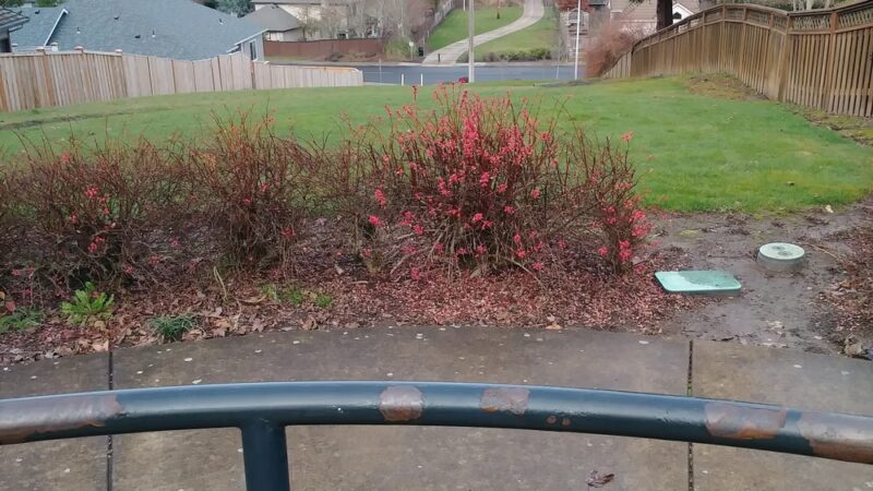 Westside Bicycle/Pedestrian Greenway - McMinnville, OR