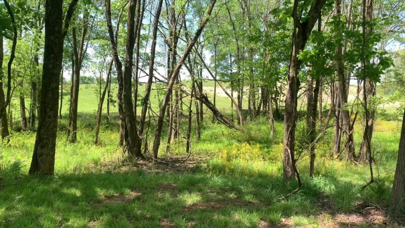 Pepper Branch Park - McMinnville, TN