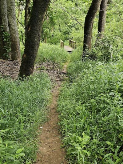 River Trail East Parking - McMinnville, TN