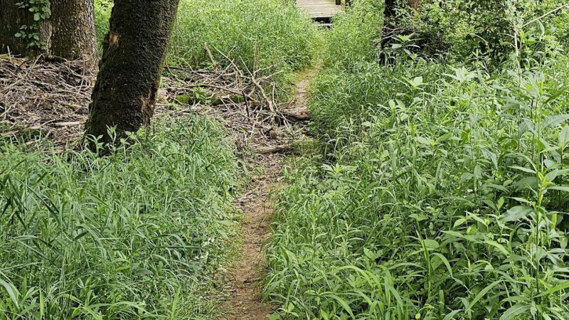 River Trail East Parking - McMinnville, TN