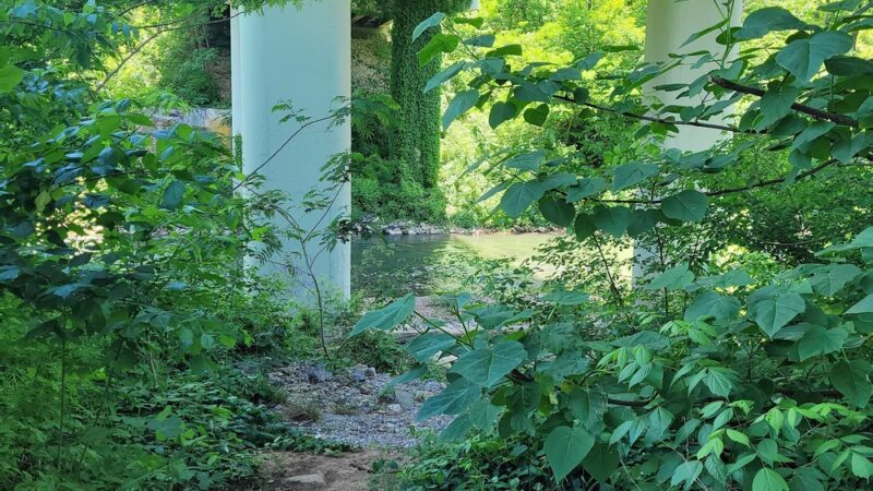 River Trail East Parking - McMinnville, TN