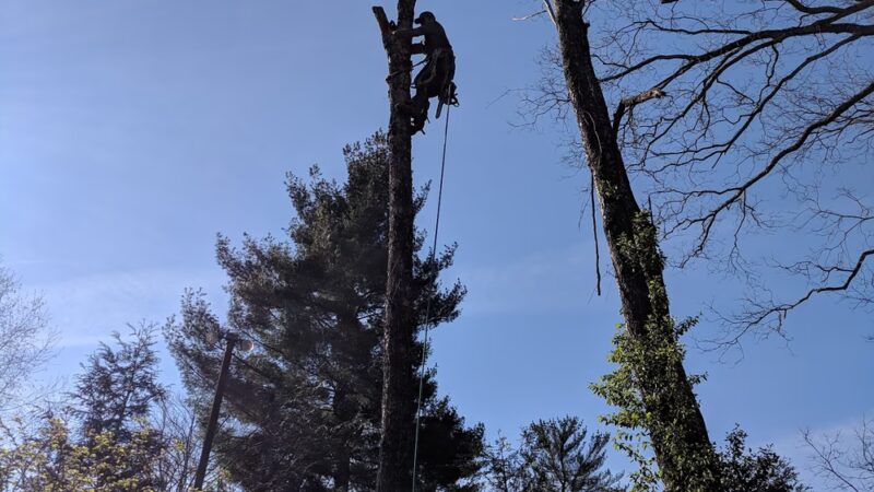 Riverfront Trail - McMinnville, TN