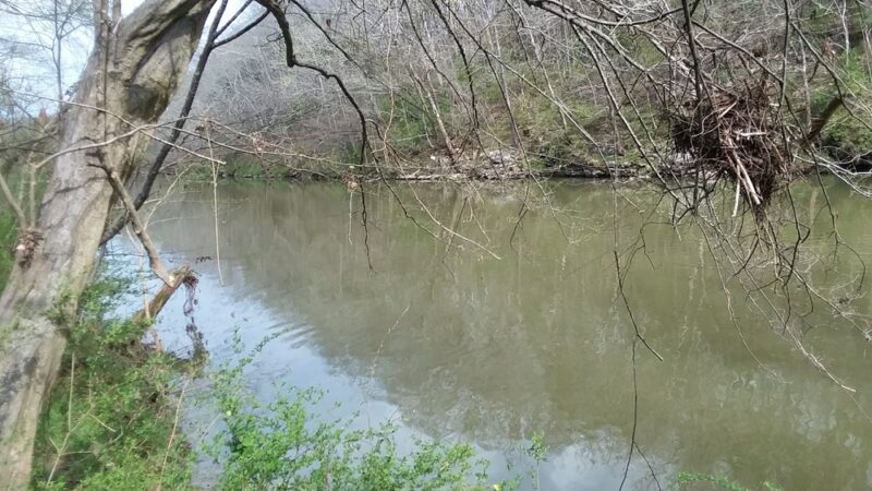 Rocket Park Boat Ramp - McMinnville, TN