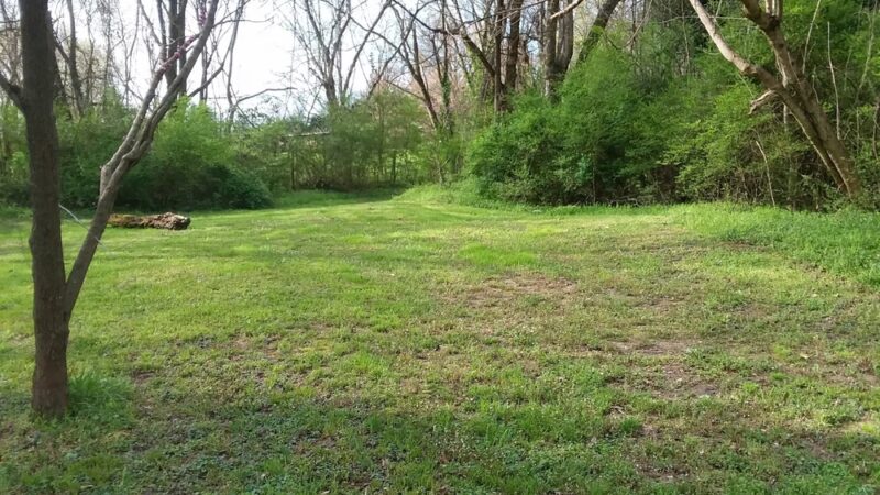 Rocket Park Boat Ramp - McMinnville, TN