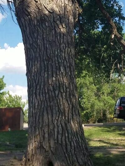Meade State Park - Meade, KS