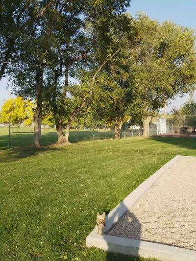 Meadow Park - Meadow, UT