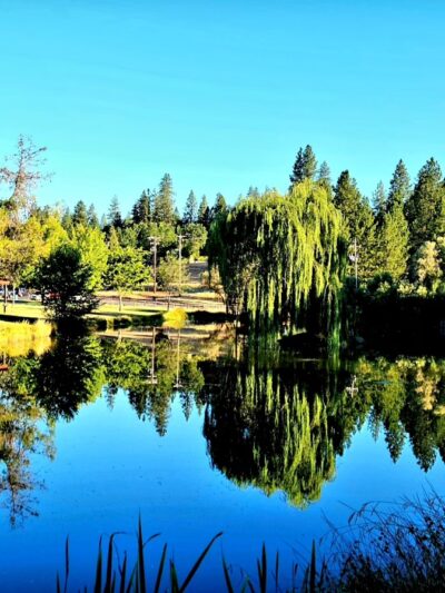 Meadow Vista Park - Meadow Vista, CA
