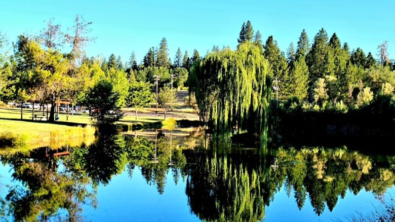 Meadow Vista Park - Meadow Vista, CA