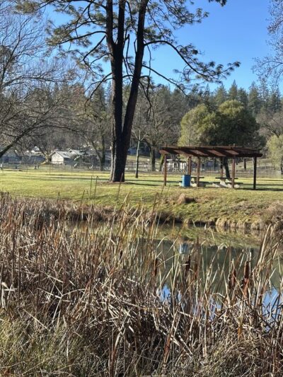 Meadow Vista Park - Meadow Vista, CA