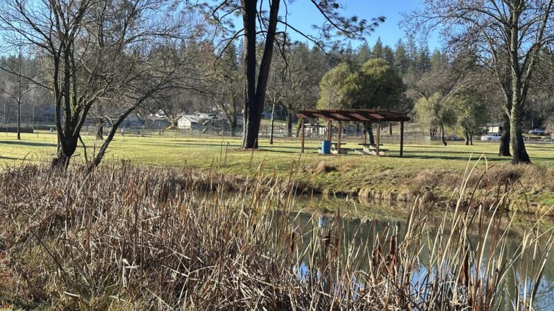 Meadow Vista Park - Meadow Vista, CA