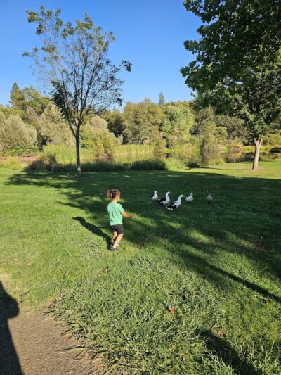 Meadow Vista Park - Meadow Vista, CA