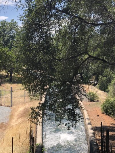 Winchester trailhead - Meadow Vista, CA