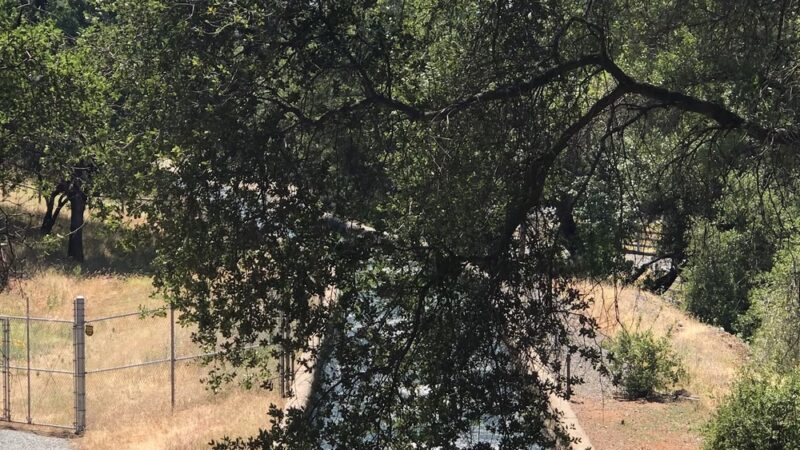 Winchester trailhead - Meadow Vista, CA