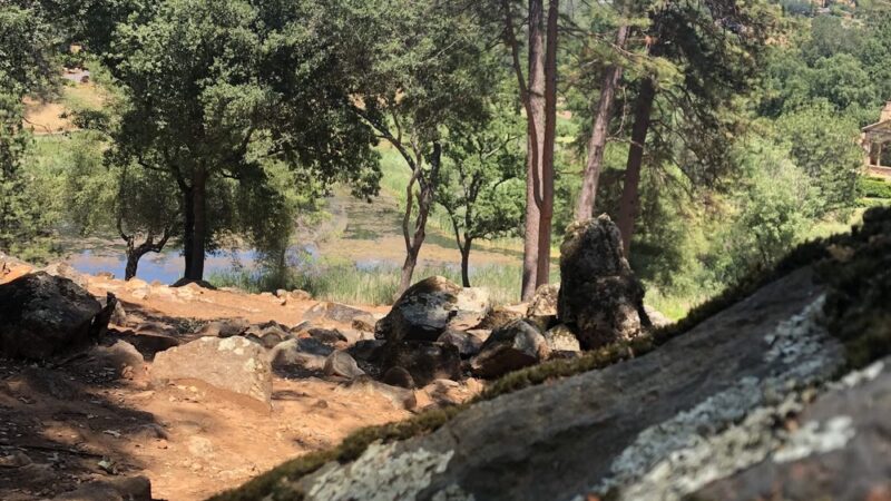 Winchester trailhead - Meadow Vista, CA