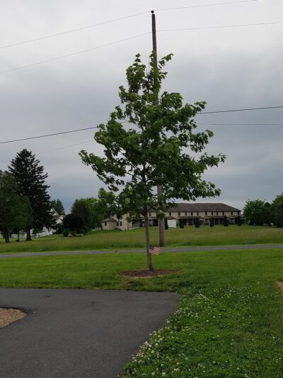 Potteiger Park - Mechanicsburg, PA