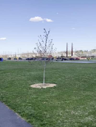 Winding Hill Park North - Mechanicsburg, PA