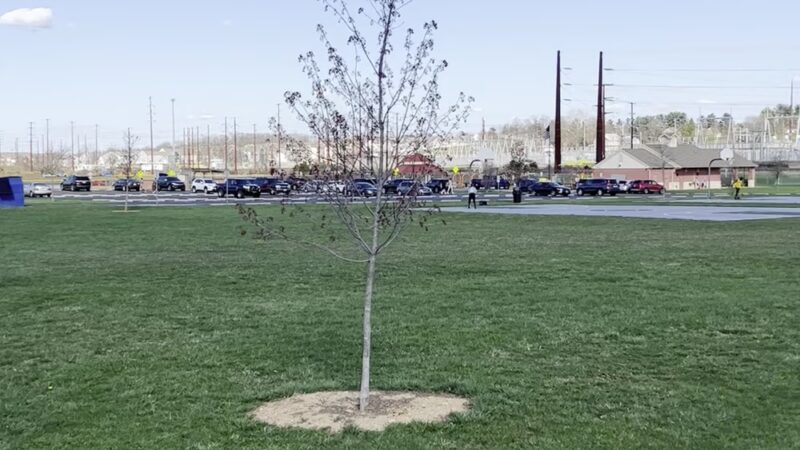 Winding Hill Park North - Mechanicsburg, PA