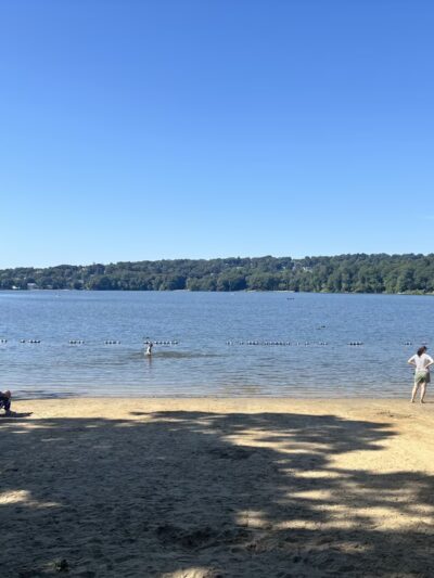 Mystic Lakes State Park - Medford, MA
