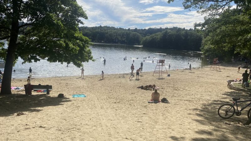 Shannon Beach - Medford, MA