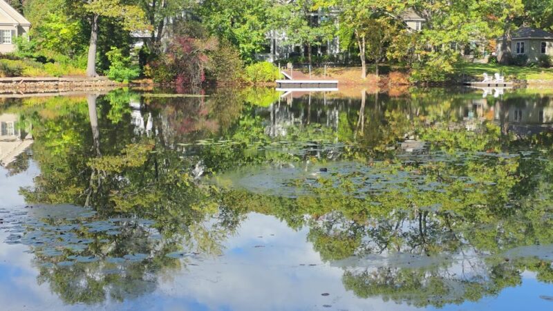 Shannon Beach - Medford, MA