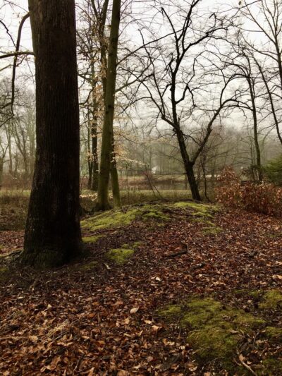 Tomlinson Park - Medford, NJ