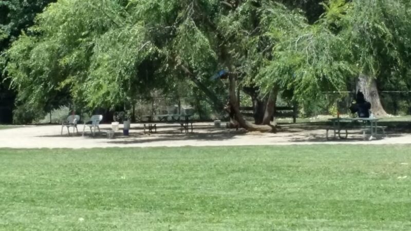 Bear Creek Dog Park (Medford, OR) - Medford, OR