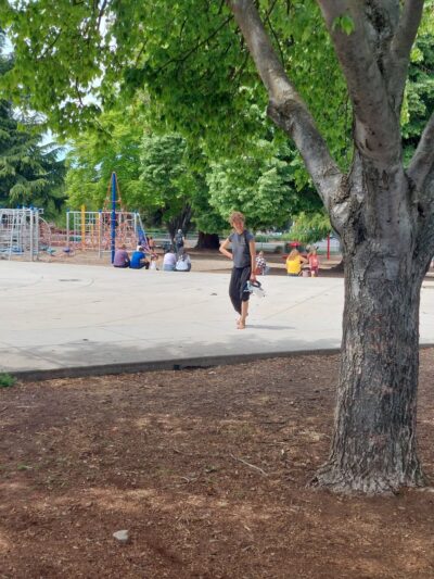 Hawthorne Park Dog Park - Medford, OR