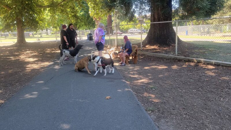 Hawthorne Park Dog Park - Medford, OR