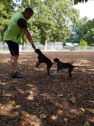 Hawthorne Park Dog Park - Medford, OR