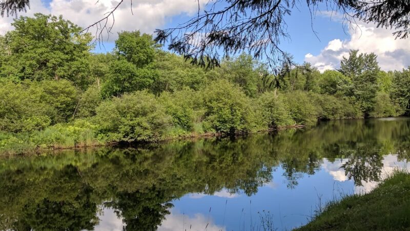 Jaycee Park - Medford, WI