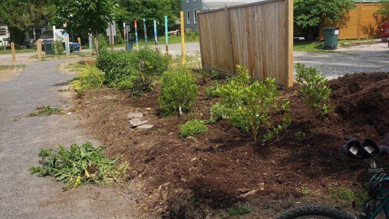 Martha Burton Community Park - Media, PA