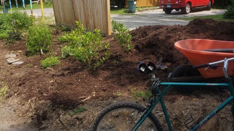 Martha Burton Community Park - Media, PA