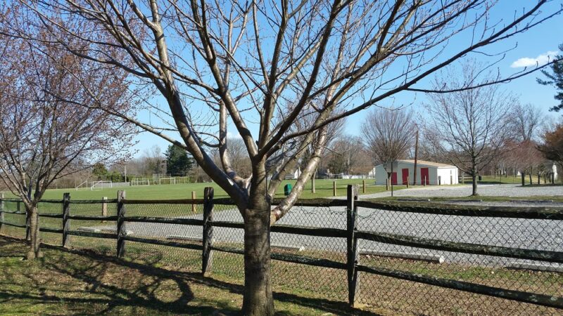 Cherry Street Park - Media, PA