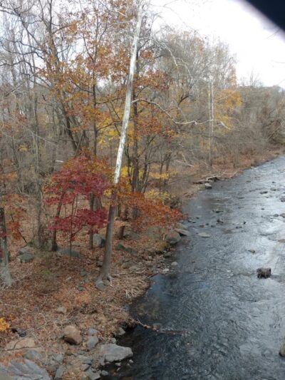 Chester Creek Trail - Media, PA