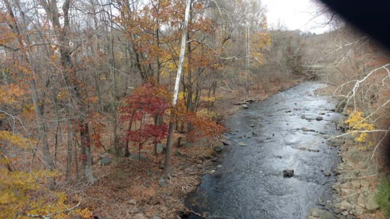 Chester Creek Trail - Media, PA