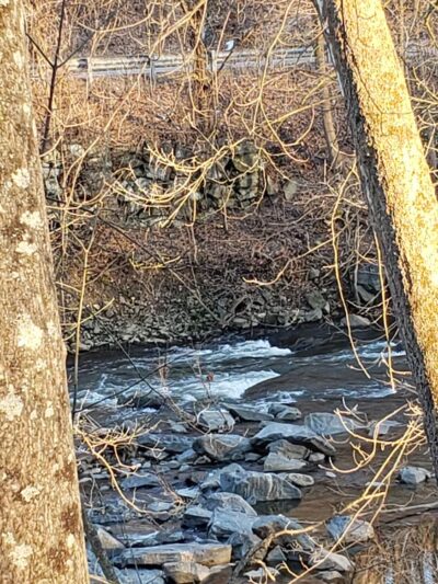 Chester Creek Trail - Media, PA