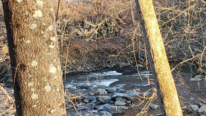 Chester Creek Trail - Media, PA