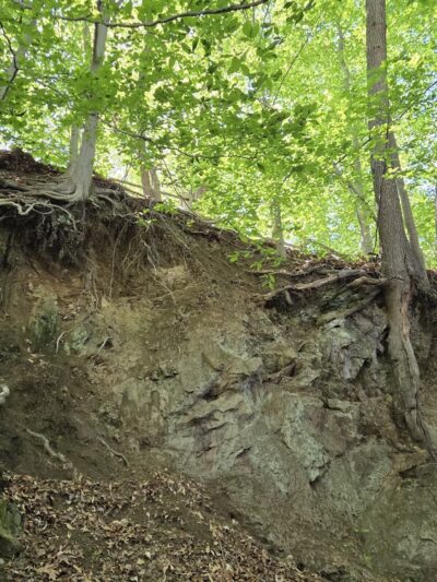 Chester Creek Trail - Media, PA