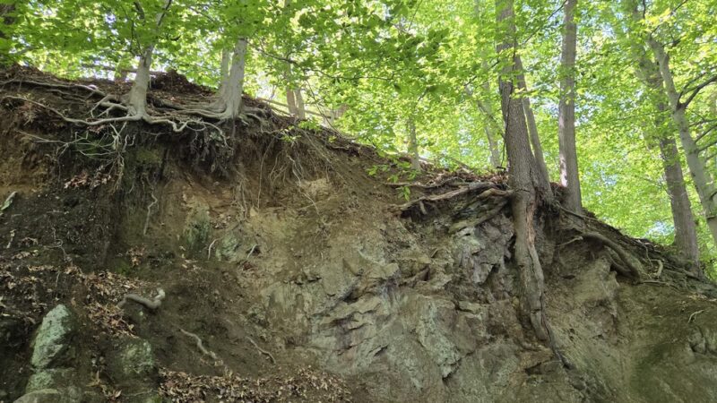 Chester Creek Trail - Media, PA