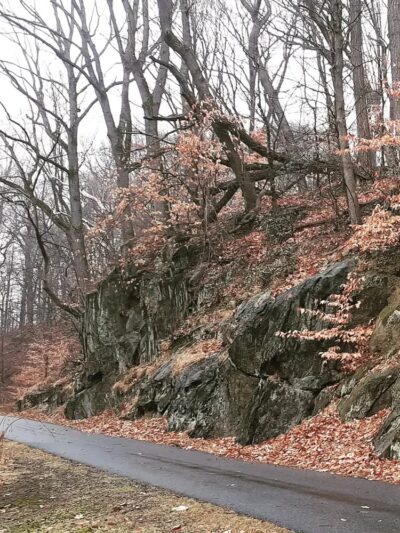 Chester Creek Trail Parking - Media, PA