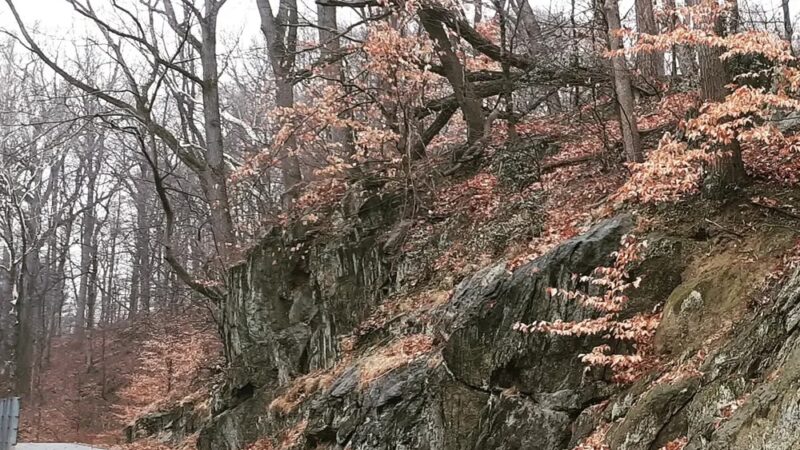 Chester Creek Trail Parking - Media, PA