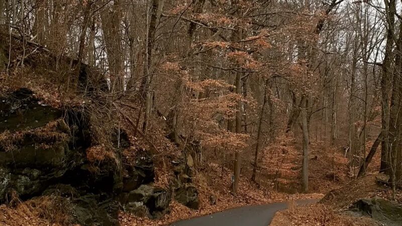 Chester Creek Trail Parking - Media, PA