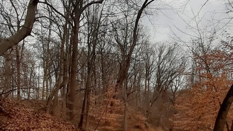 Chester Creek Trail Parking - Media, PA