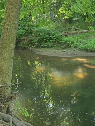 Darlington Trailhead - Media, PA